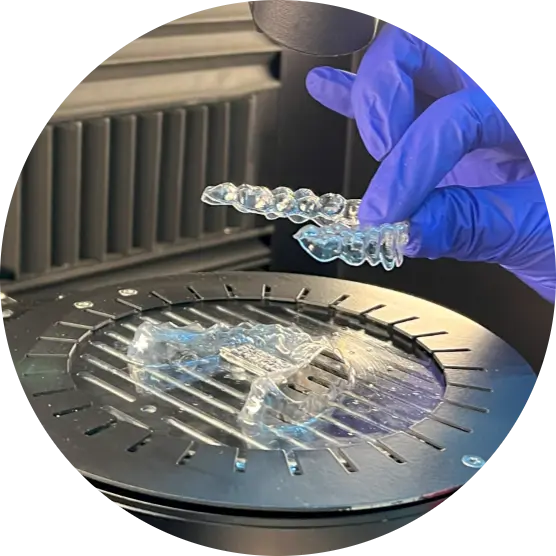 LÍDERES EN TECNOLOGÍA